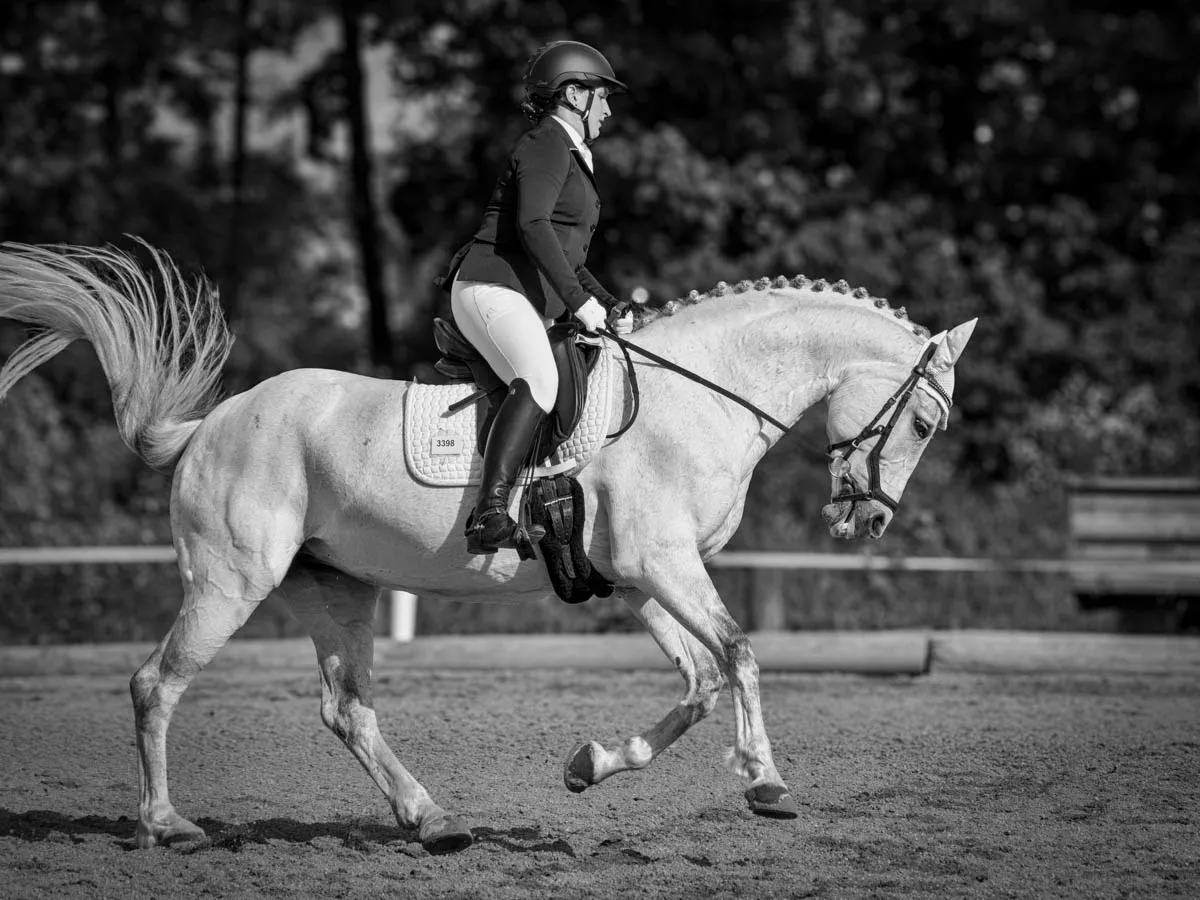 Dressurreiterin im Jackett auf einem Schimmel mit eingeflochtener Mähne im Galopp, Schwarzweiß